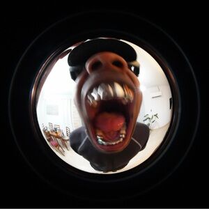 Meet your Posher, Jaylen